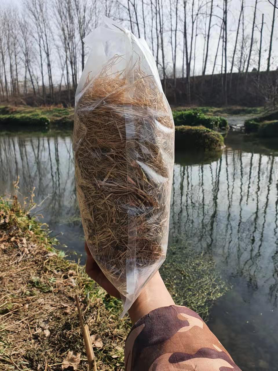 爬宠爬虫干草垫材200g约4升无农药天然宠物躲避兔子可食用