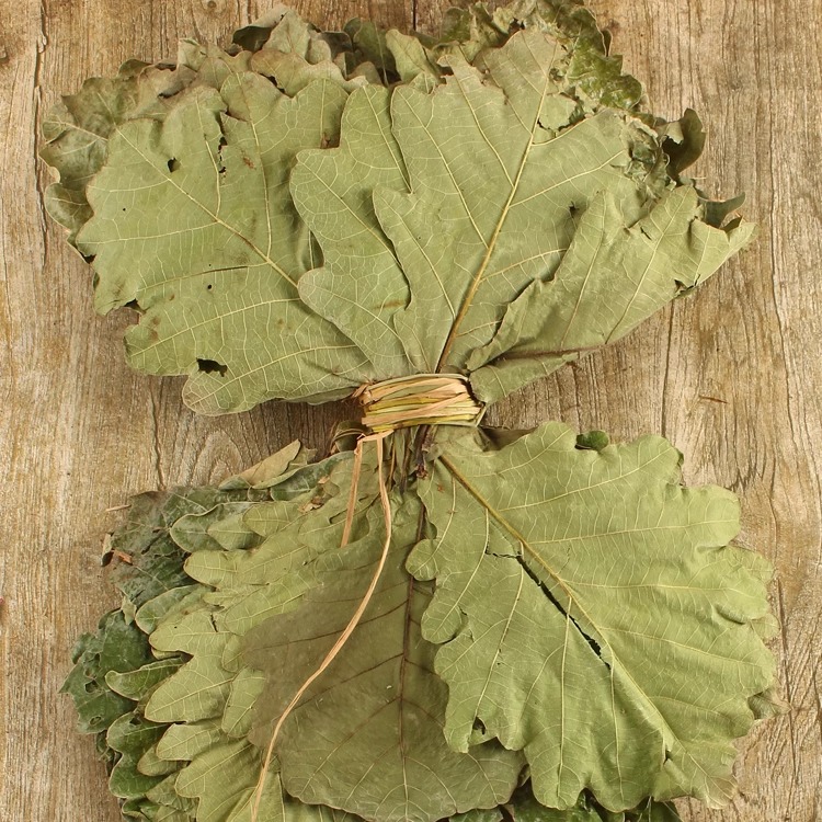 2024年新粽子叶山东干野生菠萝叶柞树槲叶大粽叶端午节诸城500g