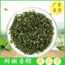 日照绿茶散装茶叶浓香型山东正宗春茶明前特级高山2021新茶250g