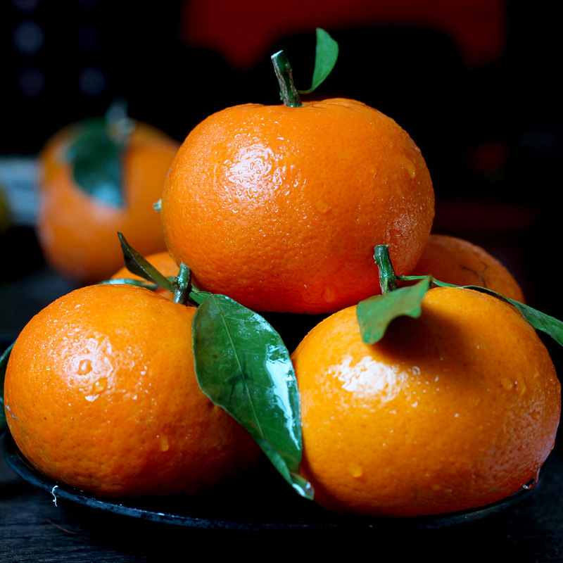 广西武鸣沃柑9斤水果整箱大果橘子皇帝蜜桔贡柑砂糖橘桔子10