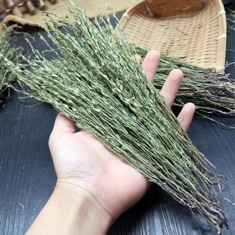 独脚金草广西野生新鲜干货独脚金草中药材批发-阿里巴巴