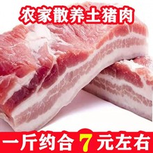 10斤带皮前后腿肉带皮五花肉农家散养土猪肉猪肉5斤