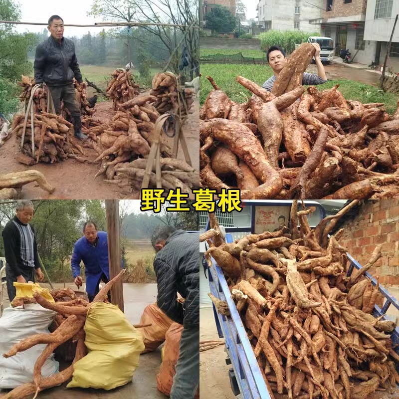 野生葛根粉江西新鲜老葛粉代餐柴橘酿500g送葛片茶汤包装-阿里巴巴