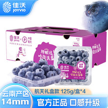 佳沃（joyvio） 云南当季蓝莓14mm+ 4盒礼盒装 约125g/盒 新鲜水