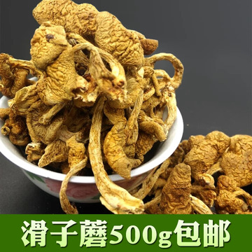 新货东北小黄蘑滑子蘑菌菇滑子菇蘑菇野生蘑菇干包邮500g-阿里巴巴