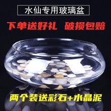 【送彩石】玻璃水仙花盆圆形透明水培花瓶铜钱草睡莲盆乌龟金鱼缸