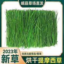 2023提摩西干草晒干烘干全叶北提兔子龙猫豚鼠荷兰猪饲料牧草兔粮