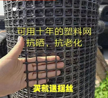 养鸡塑料网格围栏网拦鸡网家用养殖网防护网围栏栅栏户外菜园珏沁