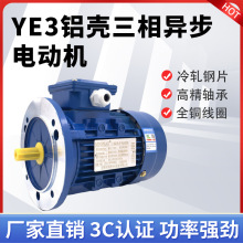 YE4/YE3高效电机三相交流380V 0.75KW卧式2极2800转铝壳电机1.1KW