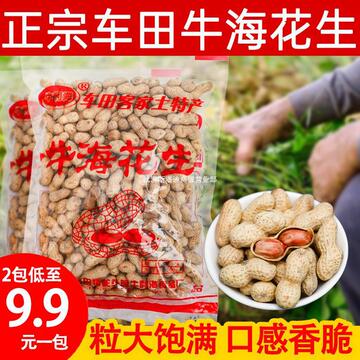 河源特产龙川车田牛利海花生下酒咸香酥脆炒牛海花生客家土炒货熟