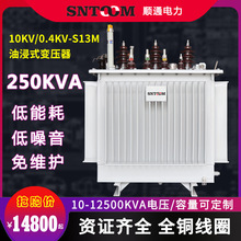S13M大型工业油浸式电力配电变压器高压10KV250全铜315/63/250KVA