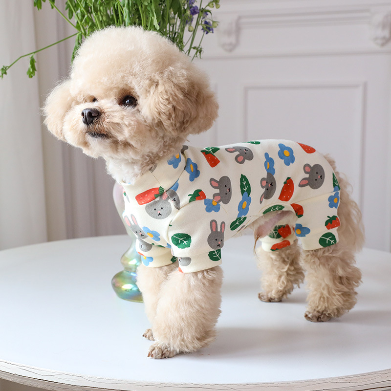 泰迪衣服冬装杭州