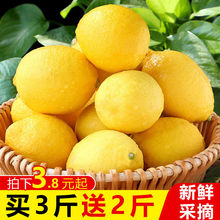 柠檬四川安岳新鲜应季水果精选黄皮有籽泡水整箱现摘批发包邮厂家