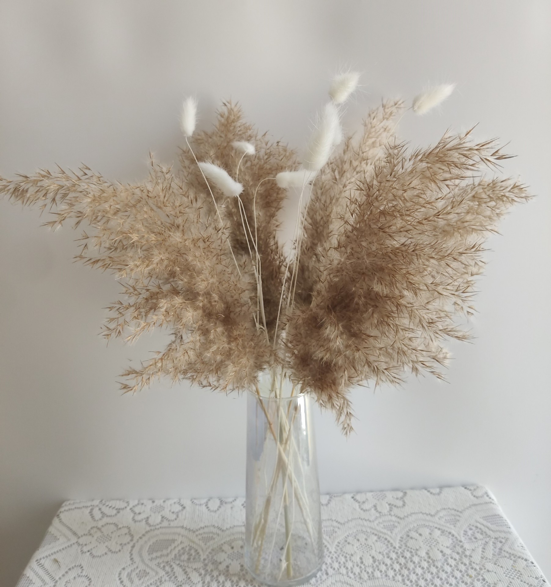 狗尾巴草干花-狗尾巴草干花厂家,品牌,图片,热帖-阿里巴巴