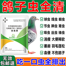 鸽易清信鸽无力赛鸽鹦鹉鸟类呆立拉稀绿便用鸽子专用药衣原体口服