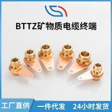 厂家直供 矿物质电缆配件终端头 BTTZ矿物电缆头防火 黄铜接头
