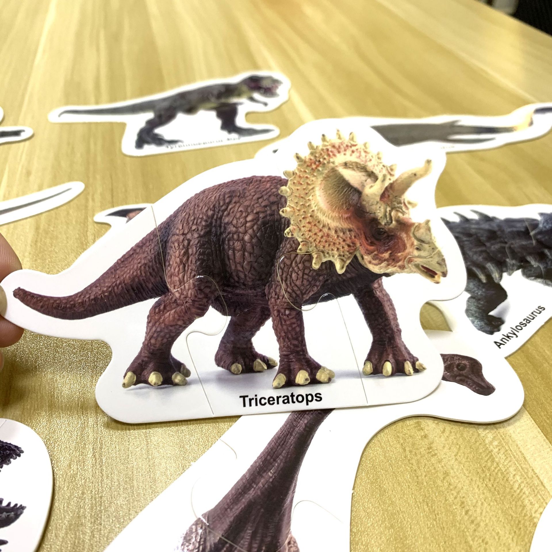 撕不烂恐龙拼图 跨境赠品 恐龙拼图 启蒙拼图 防水拼图淘宝赠品