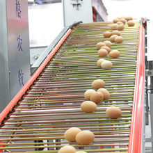 蛋鸡养殖设备集蛋器 集蛋爪自动捡蛋集蛋机 蛋鸡自动收蛋系统