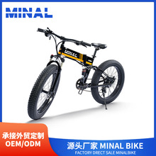MINAL电动自行车FT60 48V350W10.5A 04