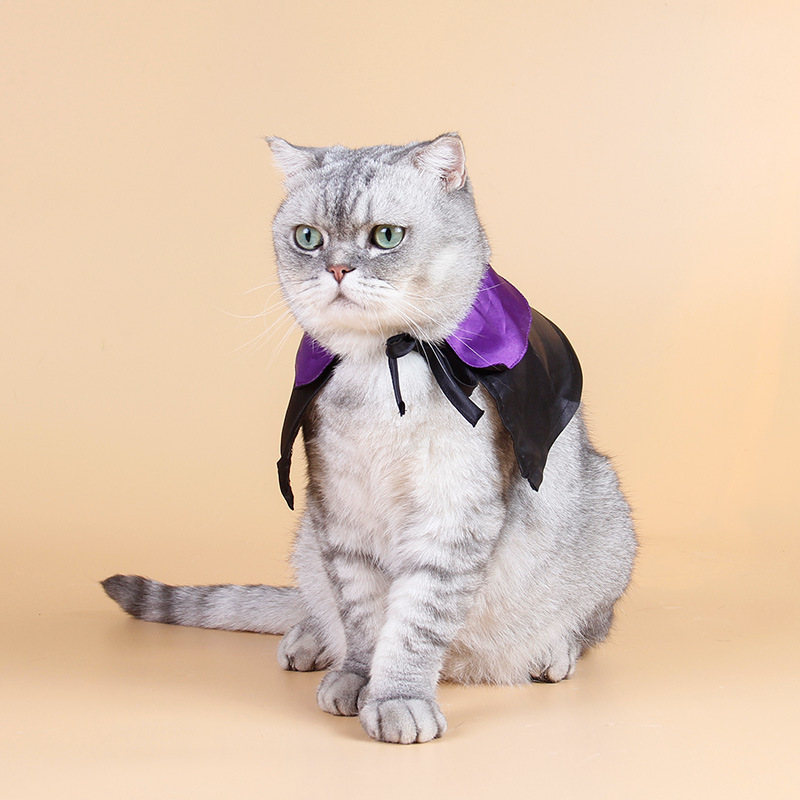 万圣节猫衣服-万圣节猫衣服厂家,品牌,图片,热帖-阿里巴巴