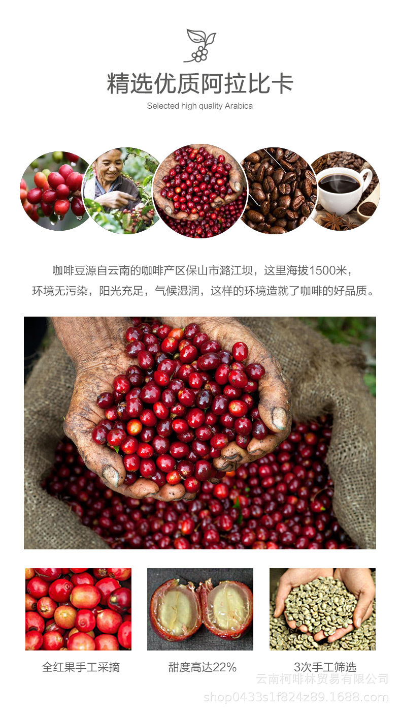 可柯啡林咖啡豆蓝山 咖啡厅办公室用云南普洱小粒咖啡oem一件代发