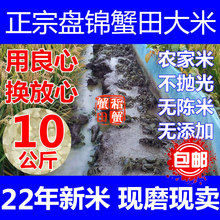 东北盘锦蟹田大米新米农家自产现磨不抛光珍珠米粳米圆粒10KG20斤