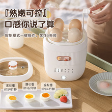 早餐机家用小型全自动煮蛋器蒸蛋羹溏心蛋温泉蛋智能蒸蛋器