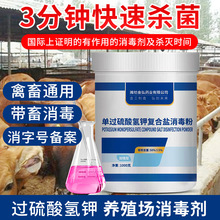 兆金弘过硫酸氢钾复合盐消毒粉鸡鸭舍猪场杀菌消毒水处理养殖专用