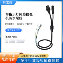 批发RJ45带指示灯+DC插头安防监控尾线9芯网络摄像头音视频防水线