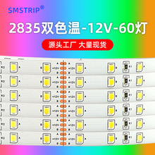 LED双色温灯带调色温灯带LED调光灯带梳妆台镜灯LED镜子触摸开关