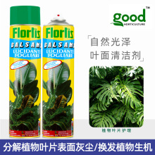 Flortis天堂鸟龟背竹绿植植物光亮清洁剂叶面增亮增绿喷雾剂750ml