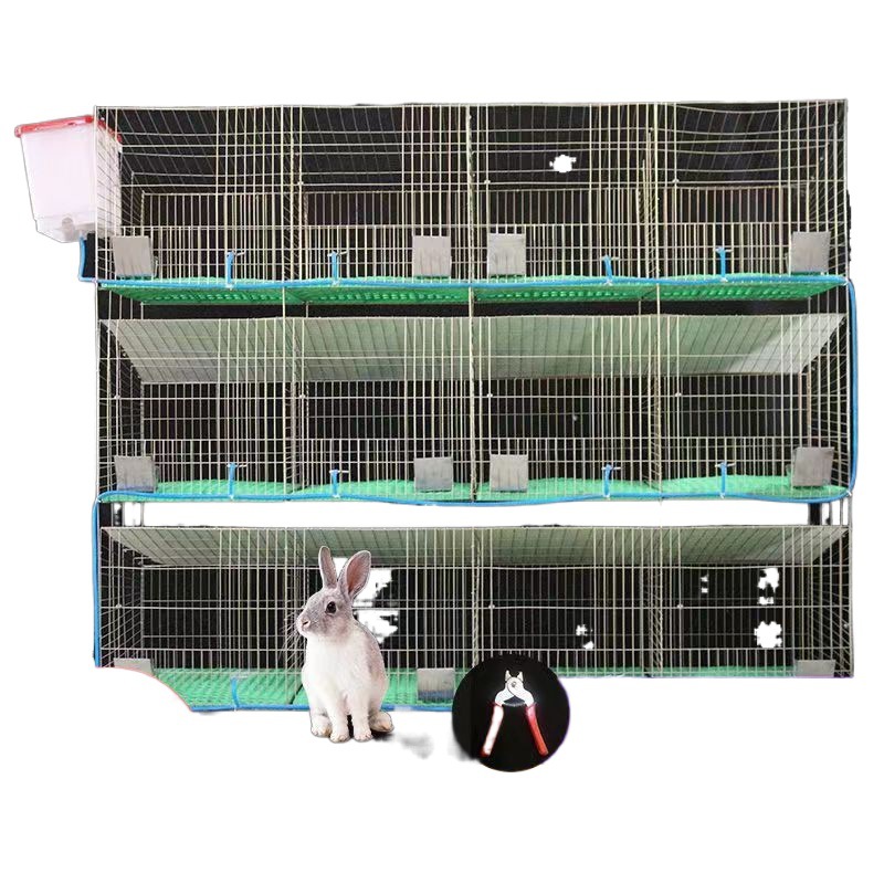 兔子笼自动清粪养殖场专用特大号兔笼子母笼兔笼兔笼子家用大号
