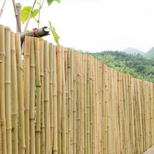 竹墙篱笆防腐碳化民宿农家乐日式栅栏围栏院子墙户外本色白竹装饰