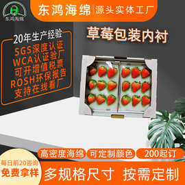 网红草莓盒包装专用海绵内托草莓水果包装材料 冬季水果内衬海绵