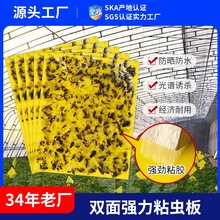 果蝇粘虫胶带粘虫纸板驱灭蚊粘蚊虫黄板果园双面强力粘虫板