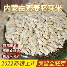燕麦胚芽米米批发新米粗粮米内蒙古原产地米煮粥米一件代发速卖通