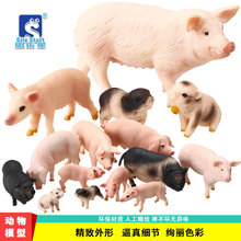 仿真动物模型玩具套装大母猪公猪越南猪跨境实心家猪儿童早教手办