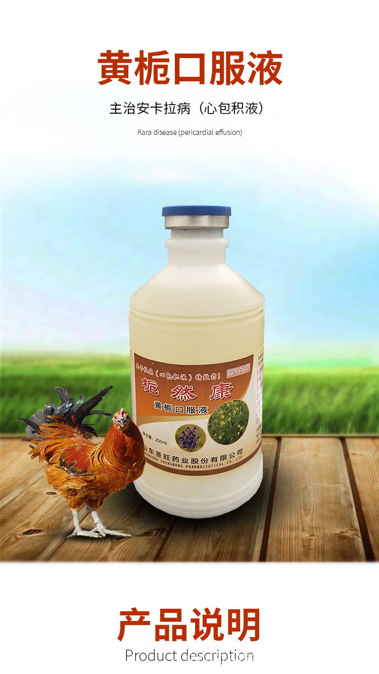 兽用黄栀口服液安卡那病 心包积液 甩鼻呼吸道病清热解毒凉血止痢