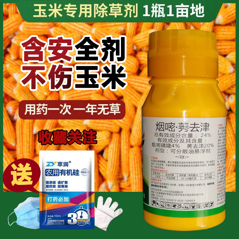 24%烟嘧莠去津玉米田专用安全型 苞米地草苗后除草剂100ml-阿里巴巴