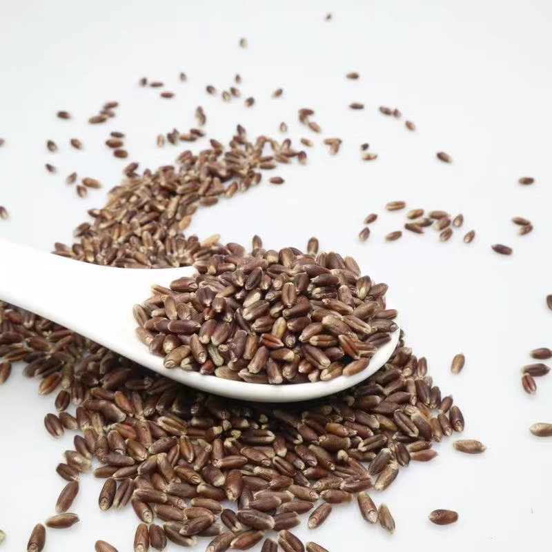 黑小麦黑麦米小麦米厂家批发黑麦25kg-阿里巴巴