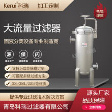 定制大通量芯式过滤器海水淡化处理过滤设备不锈钢316材质过滤