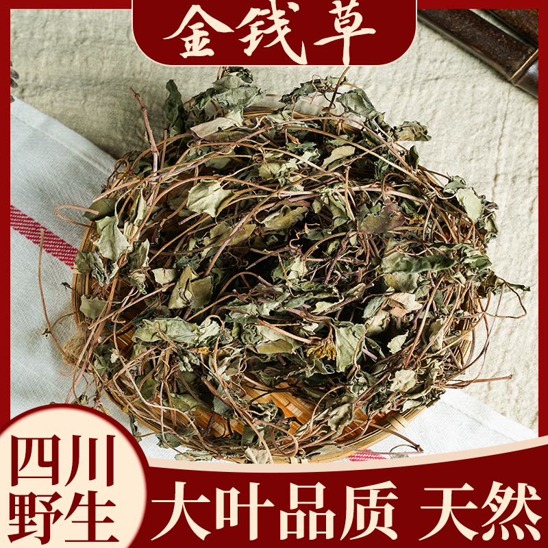 四川野生大叶金钱草100/250/500g干草药中药金前草中药材茶过路黄