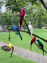 25/35cm Simulation Parrot Garden Decoration Creative Lawn跨