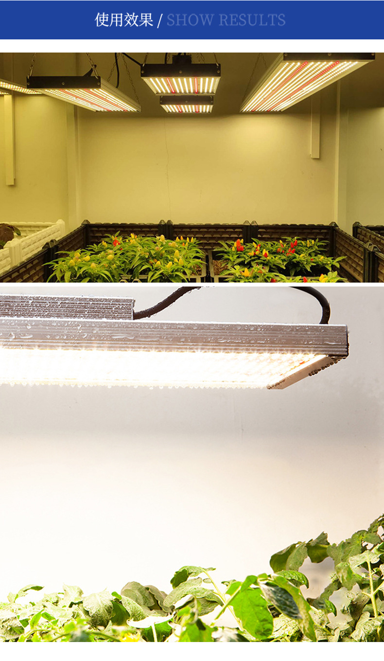 亚马逊外贸热款 led植物灯 ip66 200w大功率植物生长补光灯
