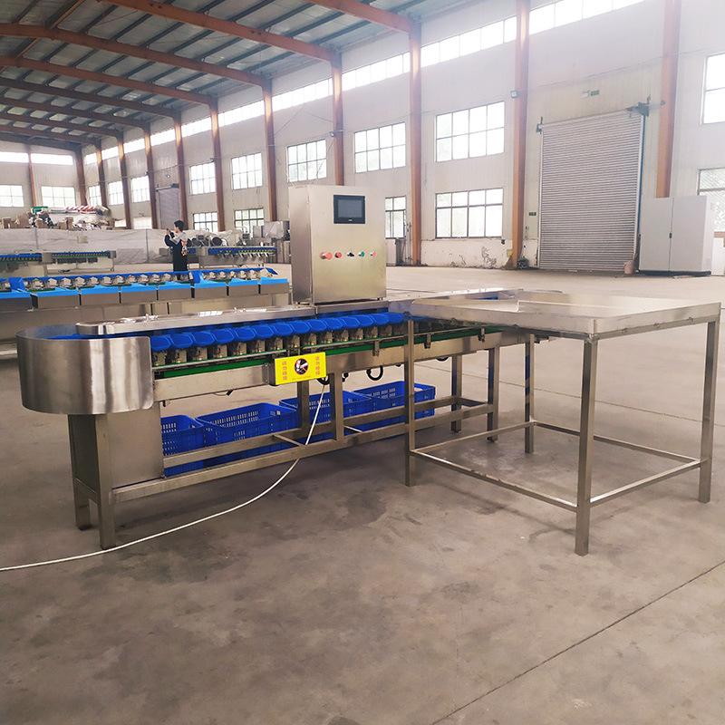自动上料准确称重选鱼机拣虾机 海参鲍鱼鲳鱼重量分拣机分选机