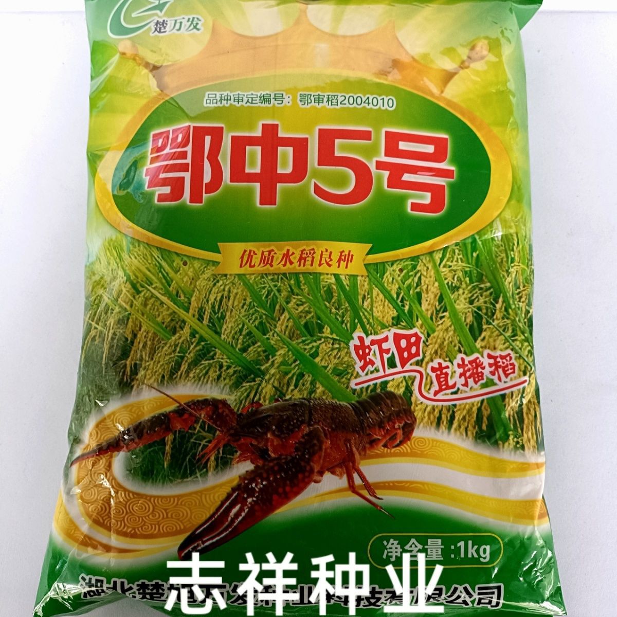 大田种植 鄂中5号水稻种子 中稻 常规品种 虾稻 株高105厘米 2斤