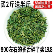 2023新茶雀舌茶片雀舌碎茶绿茶四川峨眉山竹叶春茶浓香型茶片散装