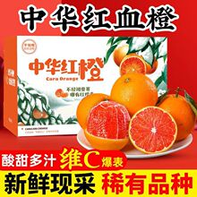 血橙湖北秭归新鲜中华红橙现摘手剥红肉橙子4.5斤/8斤彩箱混批