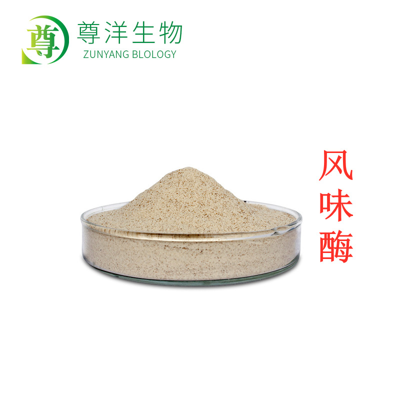 风味酶 食品级 酶制剂 外切蛋白水解酶 调味品 去苦味 风味蛋白酶