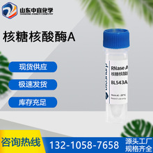 现货供应核糖核酸酶A 工业级生化研究分析RNA纯化DNA 核糖核酸酶A